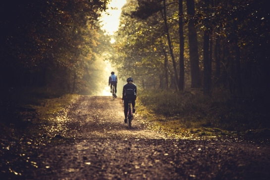 Scenic Cycling in Goa for Adventure Lovers