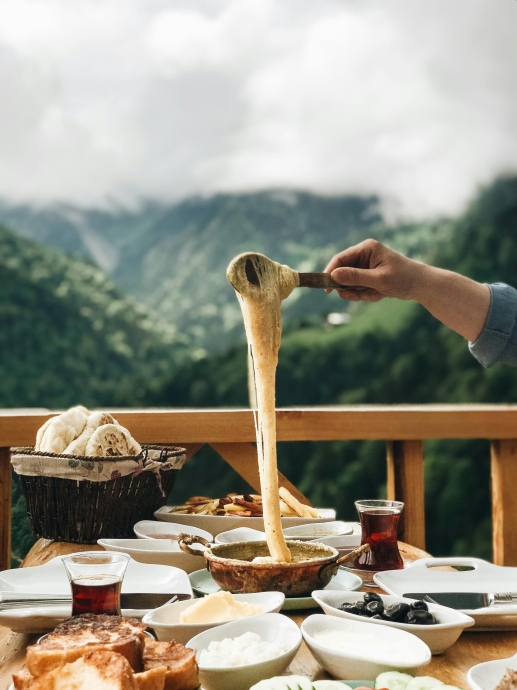 Hidden Cafés in Kasauli Every Hill-Station Explorer Must Visit