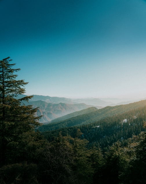 Why Kasauli is the New Mussoorie - And Why That Matters for Smart Investors