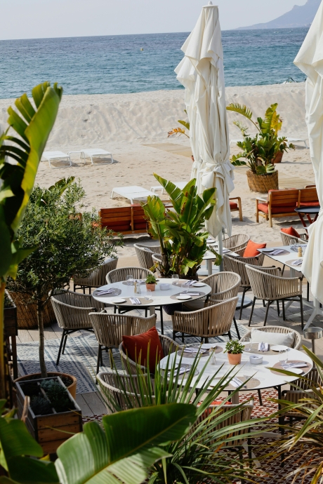 Best Restaurants in Goa for Discerning Palates and Fine Dining Aficionados