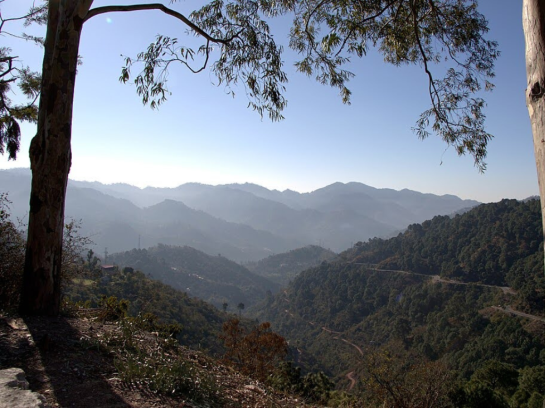 Villa in Kasauli: Experience Himalayan Dreams