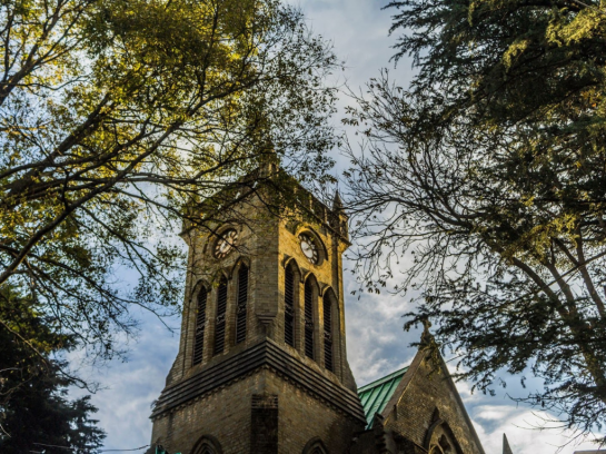 Villa in Kasauli: Experience Himalayan Dreams