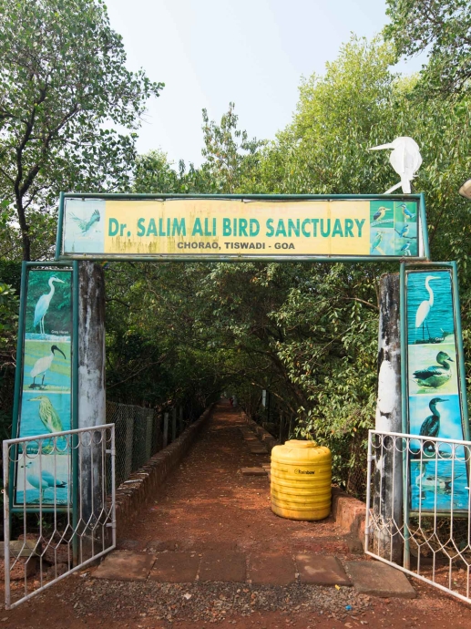 Exploring the Bird Sanctuary in Goa is Where Nature and Adventure Meet