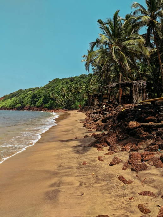 Season-wise travel guide to Goa