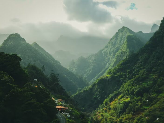 Villa in Kasauli: Experience Himalayan Dreams